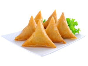 Meat Samosa